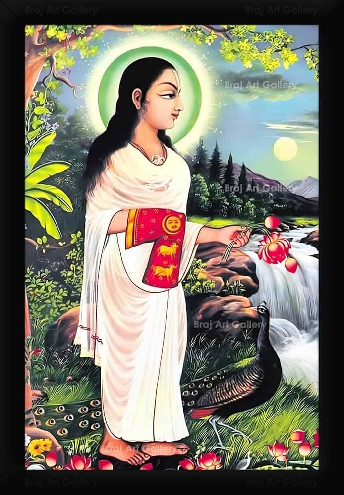 શ્રીમદ્ વલ્લભાચાર્ય મહાપ્રભુજી